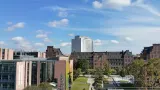 Charité – Universitätsmedizin Berlin