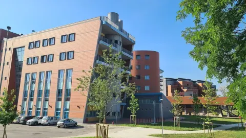 University of Bologna
