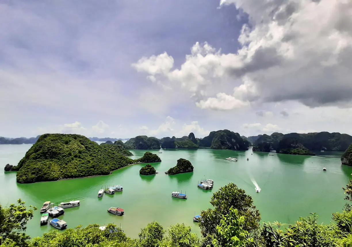 BBA in Vietnam for Indian Students